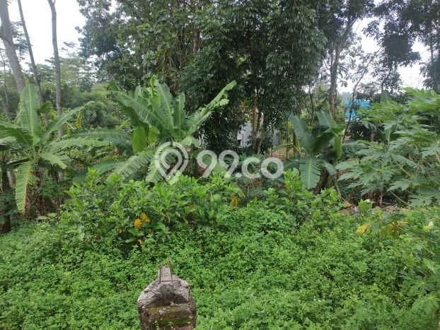 Tanah Dijual Lokasi Gunung Pati, Semarang Luas 751m2 Legalitas Aman Tanah Dijual Lokasi Gunung Pati, Semarang Luas 751m2 Legalitas Aman
