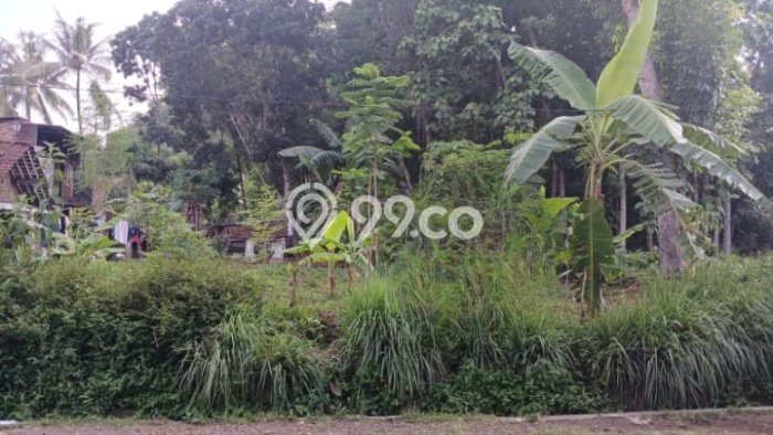 Tanah Siap Bangun Dijual di Salatiga Punya Luas 805m2 Tanah Siap Bangun Dijual di Salatiga Punya Luas 805m2