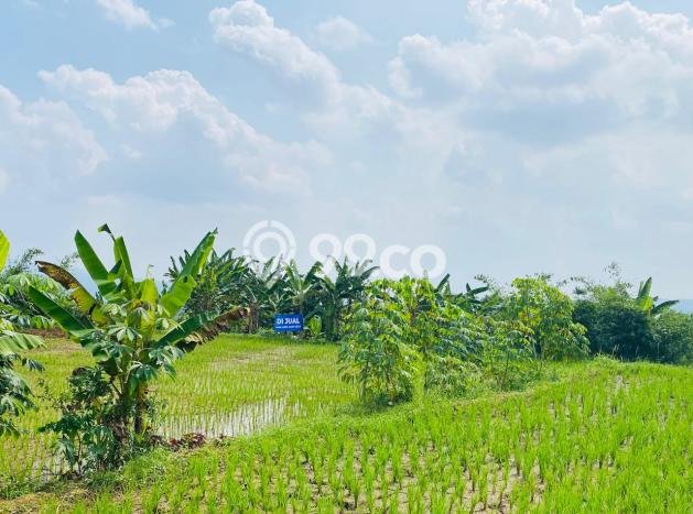 Kavling Tanah di Caringin Dijual Luas 3850m2 Legalitas SHM Kavling Tanah di Caringin Dijual Luas 3850m2 Legalitas SHM