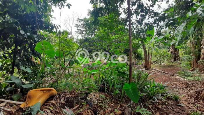 Lahan Investasi Lokasi Pamulang Tangerang Selatan SHM Lahan Investasi Lokasi Pamulang Tangerang Selatan SHM