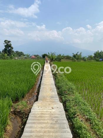 Kavling Tanah di Caringin Dijual Luas 3850m2 Legalitas SHM Kavling Tanah di Caringin Dijual Luas 3850m2 Legalitas SHM