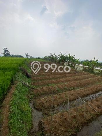 Kavling Tanah di Caringin Dijual Luas 3850m2 Legalitas SHM Kavling Tanah di Caringin Dijual Luas 3850m2 Legalitas SHM