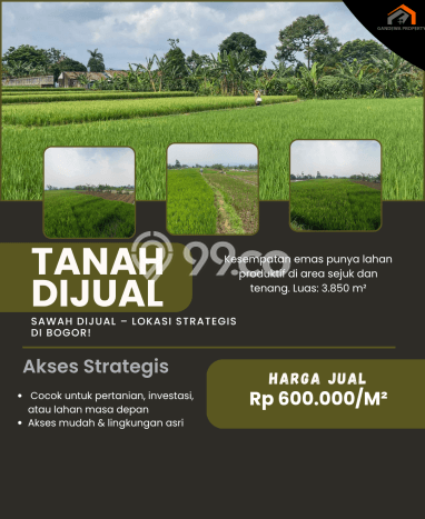 Kavling Tanah di Caringin Dijual Luas 3850m2 Legalitas SHM Kavling Tanah di Caringin Dijual Luas 3850m2 Legalitas SHM