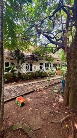 Dijual Rumah Premium dengan Fasilitas Sekitar Komplit di Menteng, Jakarta Pusat Dijual Rumah Premium dengan Fasilitas Sekitar Komplit di Menteng, Jakarta Pusat