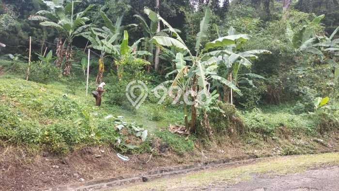 Tanah Investasi Dijual di Bandung Punya Luas 300m2 Tanah Investasi Dijual di Bandung Punya Luas 300m2