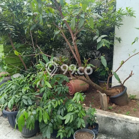 Rumah Minimalis 2 KT di Serpong Regency Melati Mas 2 Tangerang Selatan Unfurnished Rumah Minimalis 2 KT di Serpong Regency Melati Mas 2 Tangerang Selatan Unfurnished