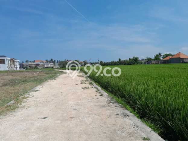 Sewa Tanah di Seseh, Luas 1000m2m², Akses Mudah Sewa Tanah di Seseh, Luas 1000m2m², Akses Mudah