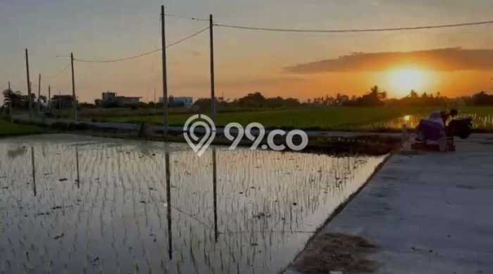 Tanah Investasi Dijual di Tabanan Punya Luas 500m2 Tanah Investasi Dijual di Tabanan Punya Luas 500m2