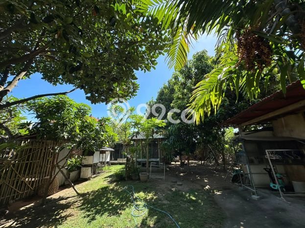 TANAH PROSPEKTIF! Tanah Kawasan , Luas 1550m2m², Tepi Jalan Utama TANAH PROSPEKTIF! Tanah Kawasan , Luas 1550m2m², Tepi Jalan Utama