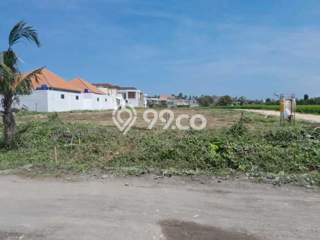 Sewa Tanah di Seseh, Luas 1000m2m², Akses Mudah Sewa Tanah di Seseh, Luas 1000m2m², Akses Mudah