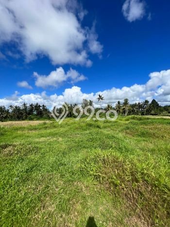 Tanah Area Berkembang di Ubud, Luas 4910m2m², Lingkungan Asri, Akses Ubud, Gianyar, Gianyar Tanah Area Berkembang di Ubud, Luas 4910m2m², Lingkungan Asri, Akses Ubud, Gianyar, Gianyar