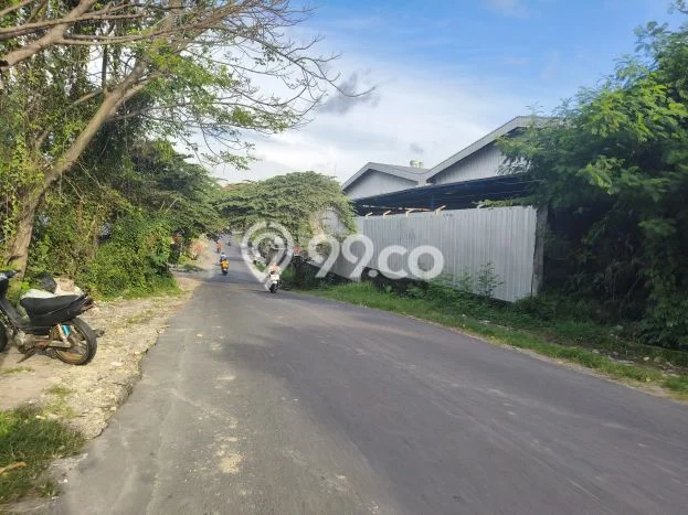 Disewakan Tanah Strategis di Denpasar Utara, Luas 1600m2m², Dekat Mudah Denpasar Utara, Denpasar, Denpasar Disewakan Tanah Strategis di Denpasar Utara, Luas 1600m2m², Dekat Mudah Denpasar Utara, Denpasar, Denpasar