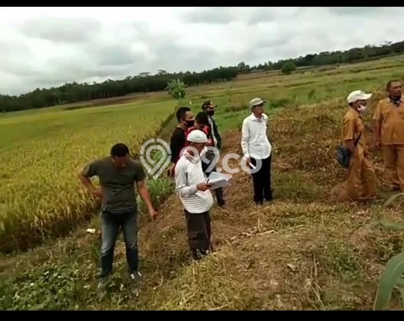 Lahan untuk Dijual di Braja Slebah Lampung Timur Luas 2e+06m2 Lahan untuk Dijual di Braja Slebah Lampung Timur Luas 2e+06m2