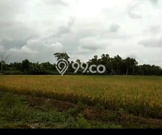 Lahan untuk Dijual di Braja Slebah Lampung Timur Luas 2e+06m2 Lahan untuk Dijual di Braja Slebah Lampung Timur Luas 2e+06m2