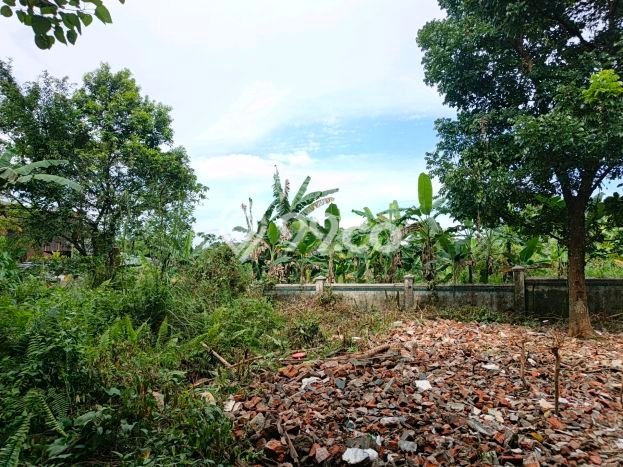 Dijual Rumah Mewah Megah Dengan View Eksklusif di Sentul City, Bogor Dijual Rumah Mewah Megah Dengan View Eksklusif di Sentul City, Bogor