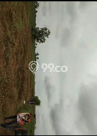 Lahan untuk Dijual di Braja Slebah Lampung Timur Luas 2e+06m2 Lahan untuk Dijual di Braja Slebah Lampung Timur Luas 2e+06m2