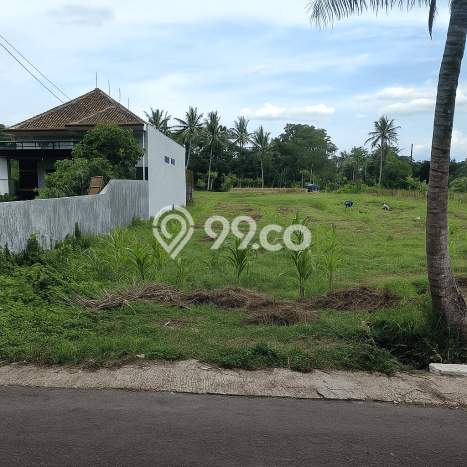 Lahan Investasi Lokasi Sleman Sleman SHM Lahan Investasi Lokasi Sleman Sleman SHM