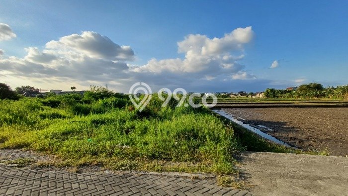 Tanah Investasi Dijual di Yogyakarta Punya Luas 214m2 Tanah Investasi Dijual di Yogyakarta Punya Luas 214m2