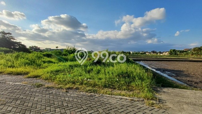 Tanah Kavling Dijual di Yogyakarta dengan Spesifikasi 214m2 Tanah Kavling Dijual di Yogyakarta dengan Spesifikasi 214m2