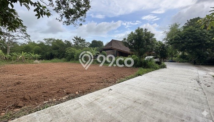 Lahan Investasi Lokasi Sleman Sleman SHM Lahan Investasi Lokasi Sleman Sleman SHM