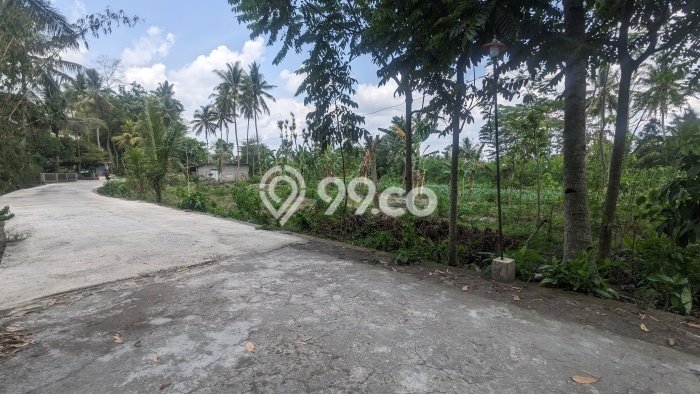 Tanah Dijual Area Strategis di Sleman Yogyakarta 137m2 Tanah Dijual Area Strategis di Sleman Yogyakarta 137m2