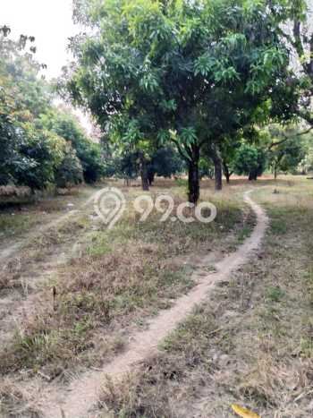 Untuk Dijual Tanah di Majalengka, Luas 29975m2 SHM Untuk Dijual Tanah di Majalengka, Luas 29975m2 SHM