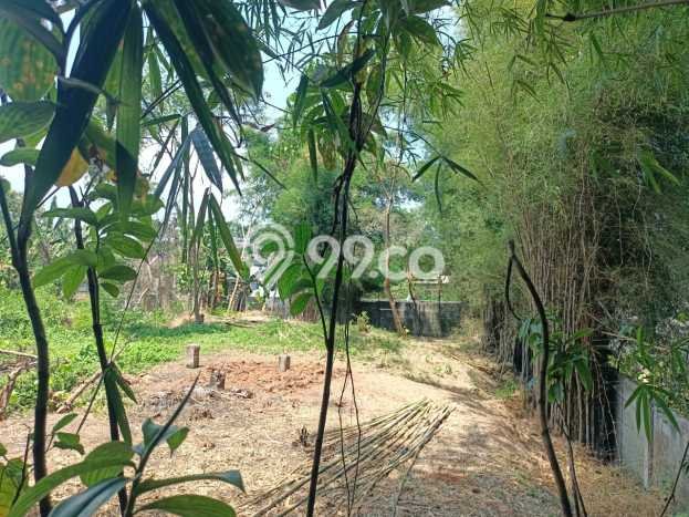 Tanah Dijual Lokasi Parung Panjang Bogor SHM Tanah Dijual Lokasi Parung Panjang Bogor SHM