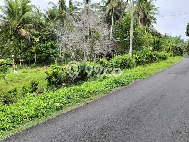 Dijual Tanah di Tabanan Tabanan Luas 5730m2 SHM Dijual Tanah di Tabanan Tabanan Luas 5730m2 SHM
