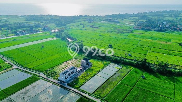 Tanah Kavling Dijual di Kedungu, Tabanan dengan Luas Tanah 1650m2 Tanah Kavling Dijual di Kedungu, Tabanan dengan Luas Tanah 1650m2