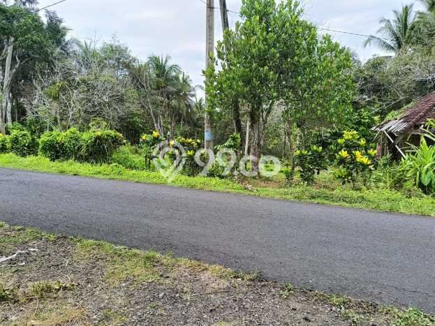 Dijual Tanah di Tabanan Tabanan Luas 5730m2 SHM Dijual Tanah di Tabanan Tabanan Luas 5730m2 SHM