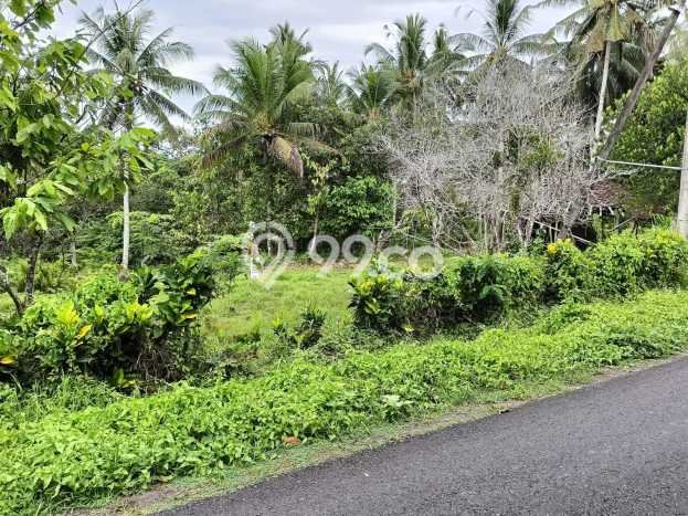 Dijual Tanah di Tabanan Tabanan Luas 5730m2 SHM Dijual Tanah di Tabanan Tabanan Luas 5730m2 SHM