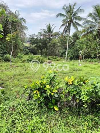 Dijual Tanah di Tabanan Tabanan Luas 5730m2 SHM Dijual Tanah di Tabanan Tabanan Luas 5730m2 SHM