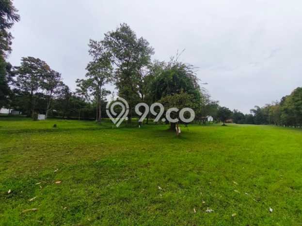 PELUANG INVESTASI! Vila Kawasan , Luas 165000m2m², Potensi Bagus PELUANG INVESTASI! Vila Kawasan , Luas 165000m2m², Potensi Bagus