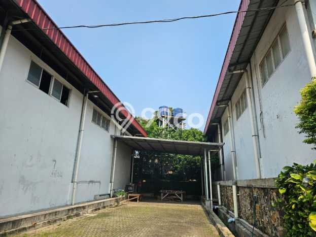 Gudang Dijual di Citeureup LT 11025m2, LB 8250m2 Solusi Investasi Cerdas Gudang Dijual di Citeureup LT 11025m2, LB 8250m2 Solusi Investasi Cerdas