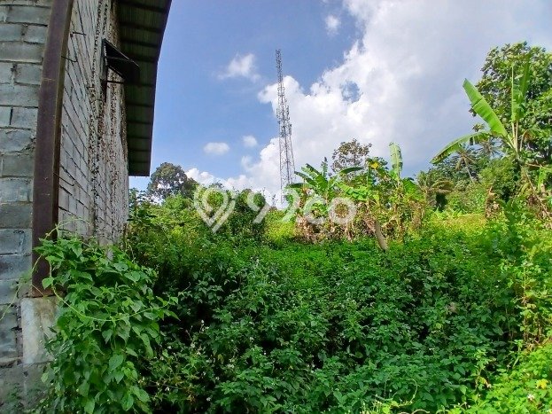 Tanah Kavling untuk Dijual di Bawen Semarang 8200m2 Tanah Kavling untuk Dijual di Bawen Semarang 8200m2