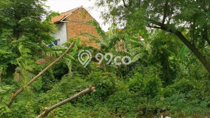 Tanah Lokasi Potensial Kawasan Cipayung, Luas 1421m2m², Akses ke Pusat Kota, Dekat Cipayung, Jakarta Timur, Jakarta Timur Tanah Lokasi Potensial Kawasan Cipayung, Luas 1421m2m², Akses ke Pusat Kota, Dekat Cipayung, Jakarta Timur, Jakarta Timur