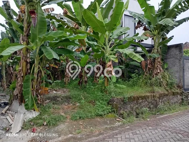 Kavling Tanah Dijual di Tembalang Semarang Spesifikasi 200m2 Kavling Tanah Dijual di Tembalang Semarang Spesifikasi 200m2