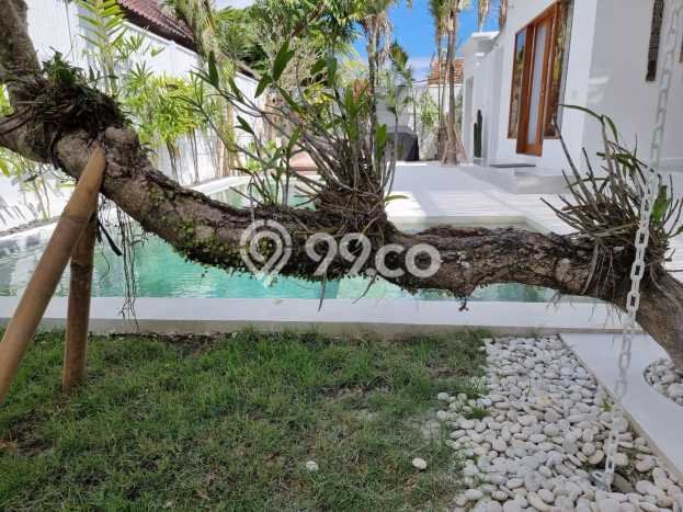 SEWA! Vila di Canggu, Area 0m², Dekat ke Pusat Kota SEWA! Vila di Canggu, Area 0m², Dekat ke Pusat Kota