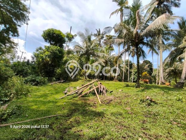 Untuk Dijual Tanah 2250m2 di Timpag, Tabanan Untuk Dijual Tanah 2250m2 di Timpag, Tabanan