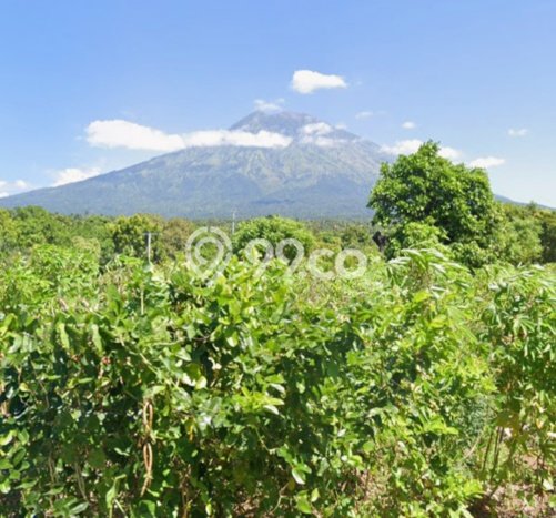 Tanah di Tulamben, Karangasem Luas 22067m2 Dijual Segera Tanah di Tulamben, Karangasem Luas 22067m2 Dijual Segera