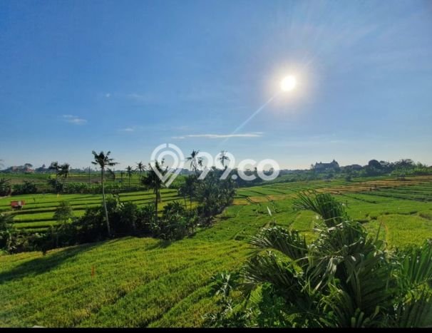 Rumah Modern 2 KT LT 100m2 di Dalung Rumah Modern 2 KT LT 100m2 di Dalung