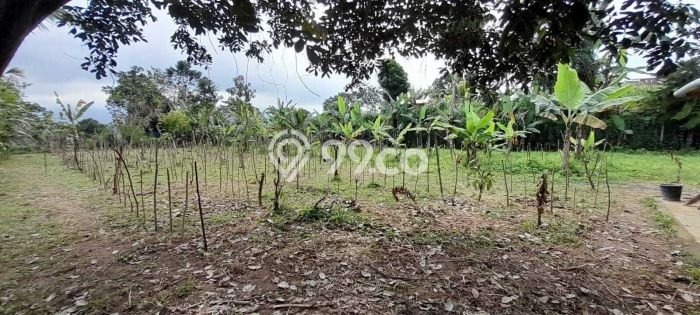 Dijual Tanah di Baturiti Tabanan Luas 2780m2 SHM Dijual Tanah di Baturiti Tabanan Luas 2780m2 SHM