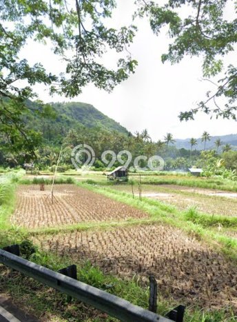 Tanah Dijual Lokasi Manggis, Karangasem Luas 2000m2 Legalitas Aman Tanah Dijual Lokasi Manggis, Karangasem Luas 2000m2 Legalitas Aman