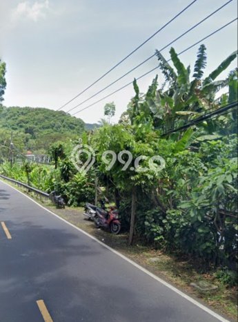 Tanah Dijual Lokasi Manggis, Karangasem Luas 2000m2 Legalitas Aman Tanah Dijual Lokasi Manggis, Karangasem Luas 2000m2 Legalitas Aman