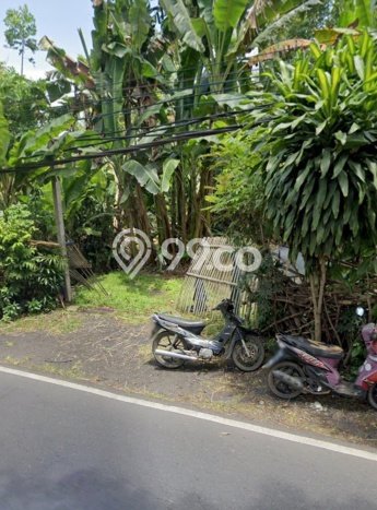 Tanah Dijual Lokasi Manggis, Karangasem Luas 2000m2 Legalitas Aman Tanah Dijual Lokasi Manggis, Karangasem Luas 2000m2 Legalitas Aman