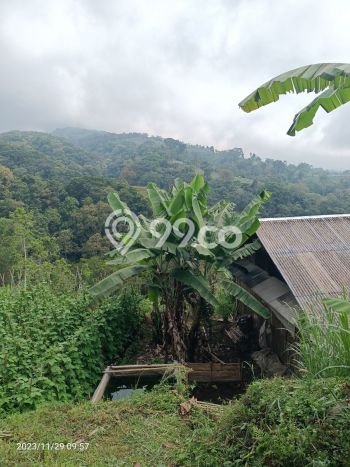 Dijual Tanah di Tabanan, Luas 6475m2 SHM Dijual Tanah di Tabanan, Luas 6475m2 SHM