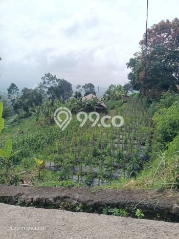 Dijual Tanah di Tabanan, Luas 6475m2 SHM Dijual Tanah di Tabanan, Luas 6475m2 SHM