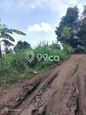 Lahan Dijual Lokasi Strategis di Buleleng dengan Luas 1545m2 Lahan Dijual Lokasi Strategis di Buleleng dengan Luas 1545m2