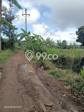 Lahan Dijual Lokasi Strategis di Buleleng dengan Luas 1545m2 Lahan Dijual Lokasi Strategis di Buleleng dengan Luas 1545m2