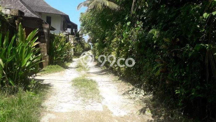 Tanah Siap Bangun Dijual di Tabanan Punya Luas 8950m2 Tanah Siap Bangun Dijual di Tabanan Punya Luas 8950m2